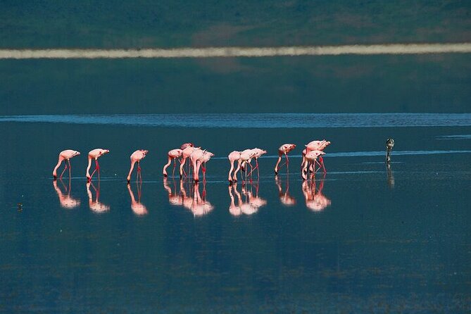 5 Days Exclusive Camping Adventure in Northern Tanzania - Small Group, Pickup Timing, and How the Day Moves