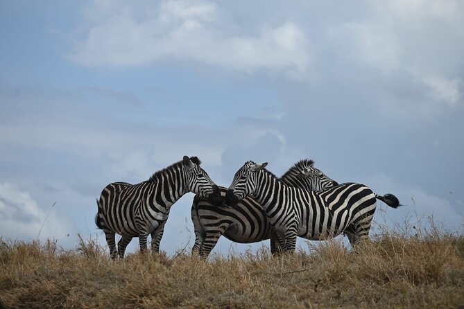 5 Days Group Camping Safari - Day 4 Early Morning Game Drive, Then Ngorongoro Overnight