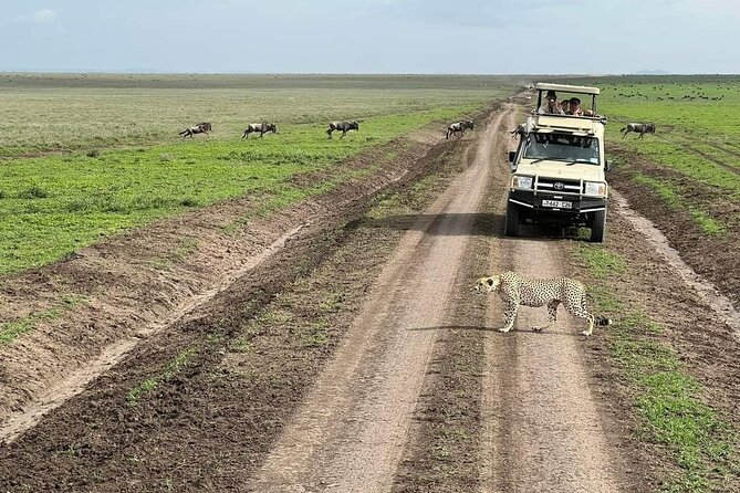 5-Days Lake Manyara, Serengeti, Ngorongoro Crater and Tarangire - Price and what you truly get for $3,099 per person
