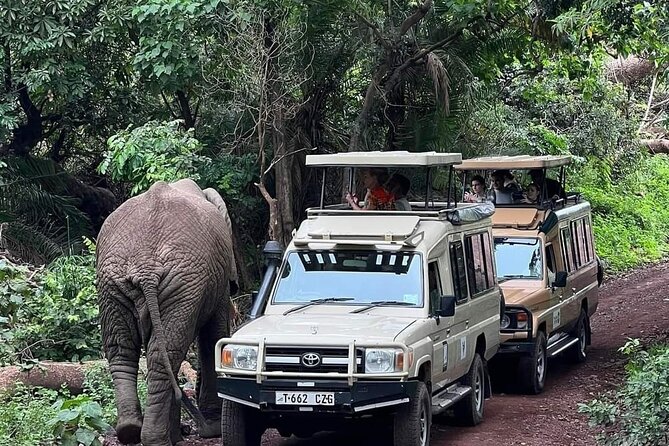 5-Days Lake Manyara, Serengeti, Ngorongoro Crater and Tarangire - Day 1 Lake Manyara National Park: acacia forests, pink flamingos (seasonal), and tree-climbing lions