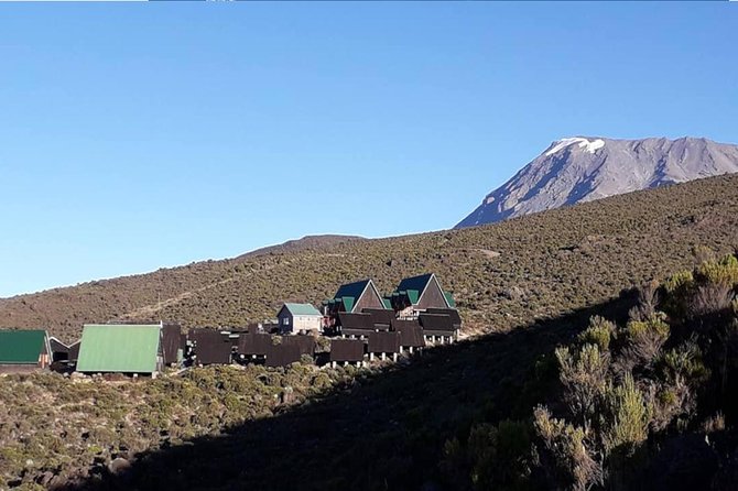 5 days Marangu Route - Day 3: The Last Water Point, the Saddle, and Kibo Hut