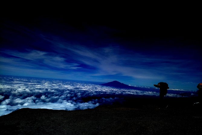 5 Days Marangu route Climbing Mt. Kilimanjaro - Day two: from montane forest edges to high moorlands at 3,700m