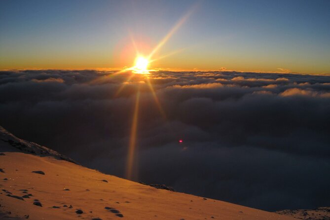 5 Days Marangu Route Kilimanjaro hiking - Day 1: Mandara Hut, rainforest birds, and a Maundi Crater side trip