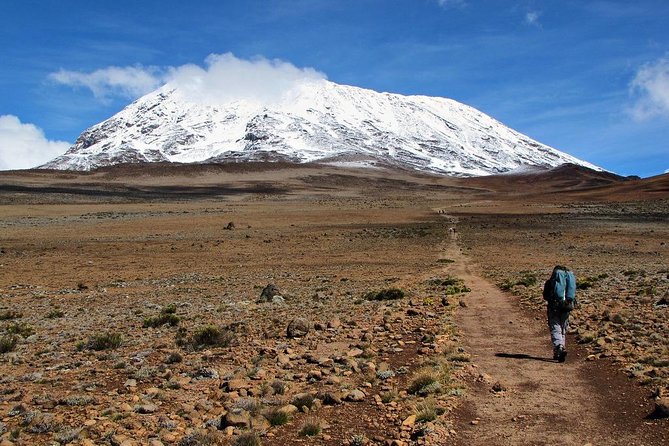 5 Days Marangu Route Kilimanjaro Trekking - Key Things That Make This 5-Day Marangu Trek Worth Your Attention