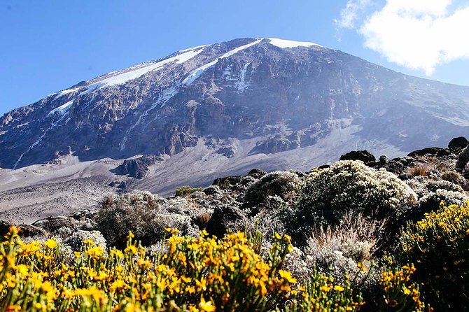 5 Days Marangu Route - Mount Kilimanjaro Trek - Day 3: Timberline to heath and moor zone, then Horombo Hut at 3,700m