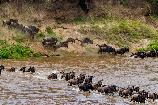 5 Days Mid-Range Group Safari with Accommodation - Day 1: Tarangire National Park and the classic elephant start