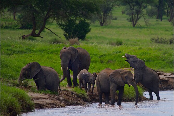 5 Days Northern Tanzania Safari- Lodging - Arriving from Arusha: pickup, your guide, and a vehicle that won’t fight you