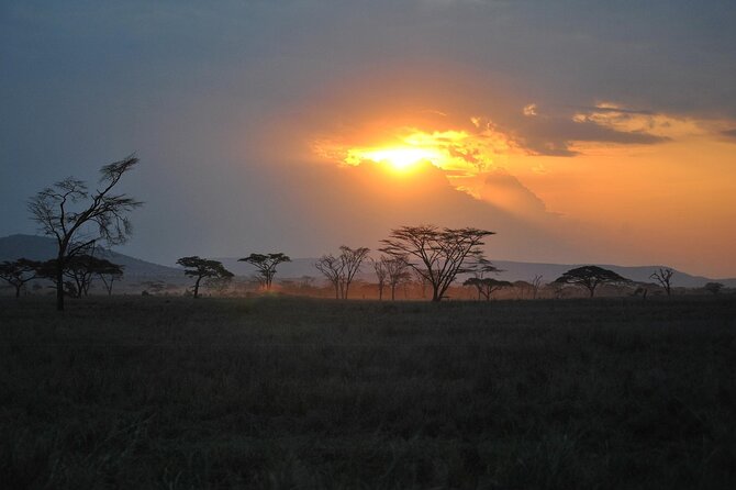 5 Days Northern Tanzania Safari- Lodging - Ngorongoro Conservation Area: crater day and big-game density