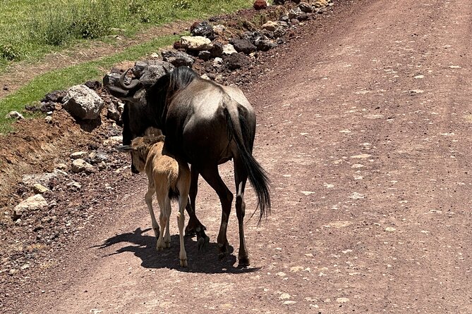 5 Days of Wilderness Ride - The scenery you ride toward, not just look at