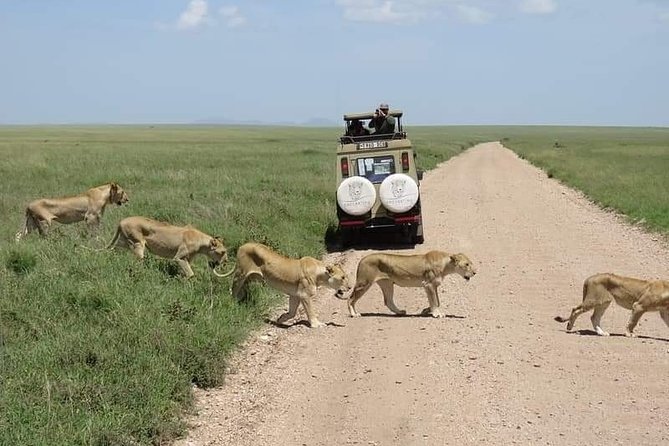 5-Days Private Midrange Safari: Serengeti, Ngorongoro & Manyara - Ngorongoro Crater Descent in an Open-Roof 4x4, Plus Hippo Pool Lunch