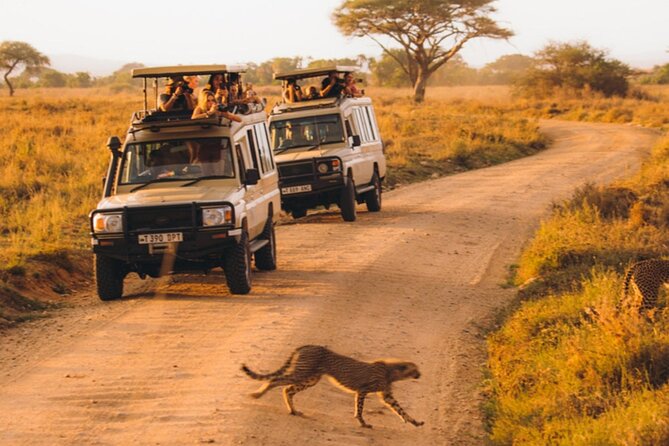 5-Days Private Midrange Safari: Serengeti, Ngorongoro & Manyara - Lake Manyara, Tree-Climbing Lions and Birding That Actually Sings