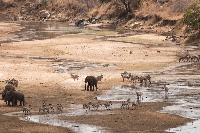 5-Days Private Midrange Safari: Serengeti, Ngorongoro & Manyara - Price and Value, What You’re Paying For on This 5-Day Route