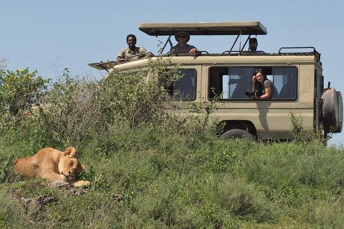 5-Days Private Midrange Safari: Serengeti, Ngorongoro & Manyara - Wildlife Strategy That Works With This Route