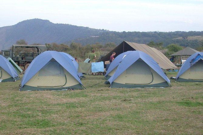 5 Days Private Safari- Tarangire, Serengeti, Ngorongoro & Manyara - Guides, food, and comfort: what the best days feel like