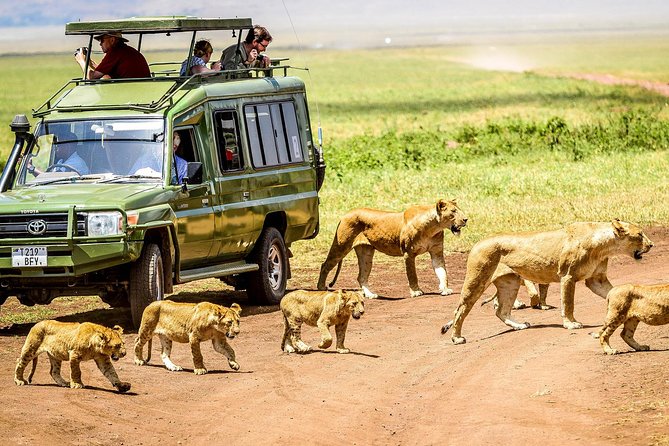 5 Days Private Safari- Tarangire, Serengeti, Ngorongoro & Manyara - Serengeti National Park: two game drives and more predator chances
