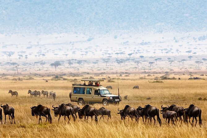 5-Days Private Safari Tour in Trangire, Serengeti, and Ngorongoro Crater - Key highlights to plan around