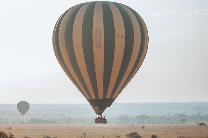 5-Days Private Safari Tour in Trangire, Serengeti, and Ngorongoro Crater - Your best odds for the animals you came for