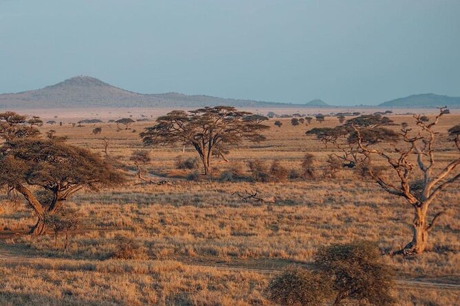 5-Days Private Safari Tour in Trangire, Serengeti, and Ngorongoro Crater - Day 1 Tarangire National Park: elephants, water sources, and an open-top welcome