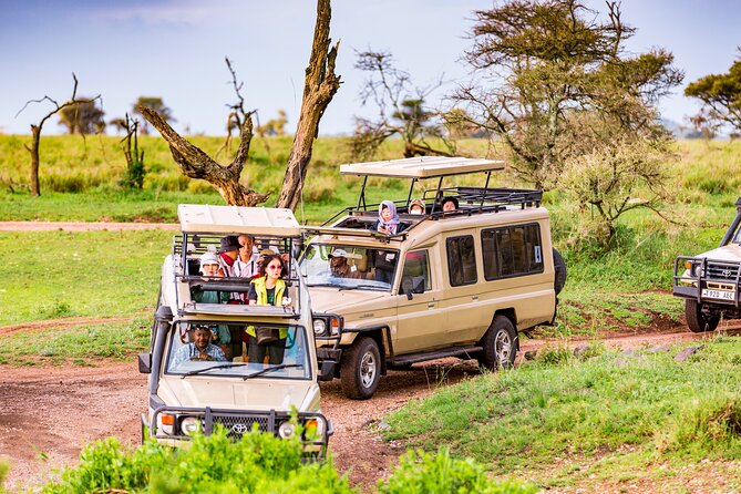 5 Days Private Safari Tour & Maasai village Visit Tanzania - Key things I’d focus on before you book