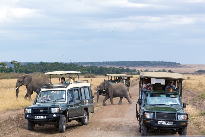 5 Days Private Safari Tour & Maasai village Visit Tanzania - Day 1 Lake Manyara National Park: tree-climbing lions in a Rift Valley setting