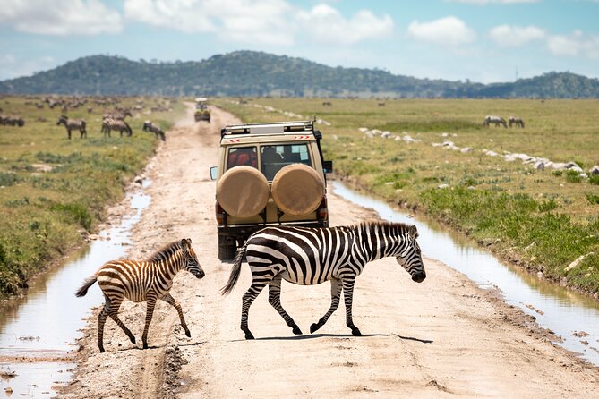 5 Days Private Safari Tour & Maasai village Visit Tanzania - The Mto wa Mbu village and Visitor Center stop: culture without derailing the wildlife plan