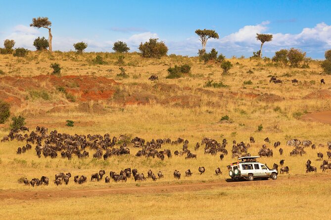 5 Days Private Safari Tour & Maasai village Visit Tanzania - What the guides get right, and why reviews keep naming them