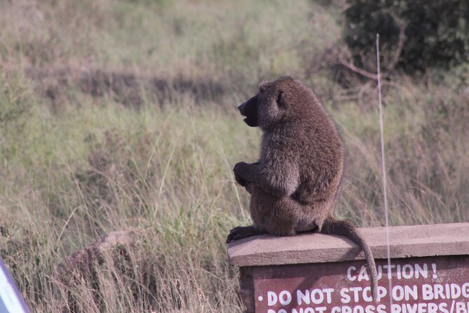 5-Days Private Tanzania Safari Tour - Private guide attention, pickup, and the real value of $2,150 per person
