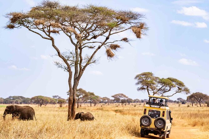 5 Days Private Tarangire, Serengeti, Ngorongoro, Manyara Safaris - Serengeti’s Seronera Area: Where the River Brings Animals Closer