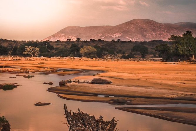 5 Days Ruaha National Park Safari - Day 3 Ruaha River and Elephant Country: Hippos, Crocs, and Birds by Name