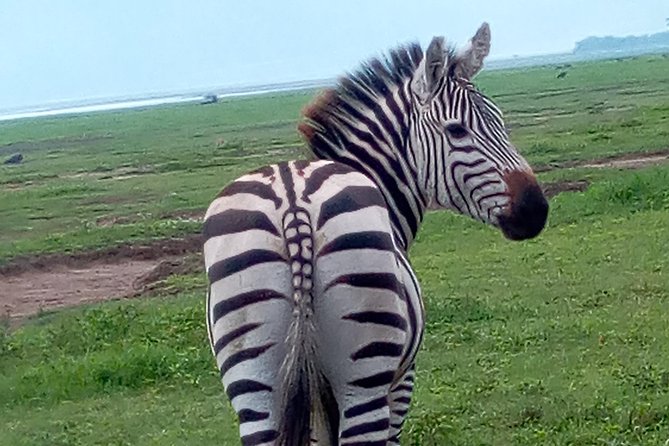 5 Days Safari from Dar es Salaam to Tarangire NP, Manyara NP & Ngorongoro Crater - Day 1 to Arusha Region: Arrival Late, but the Views Pay Off