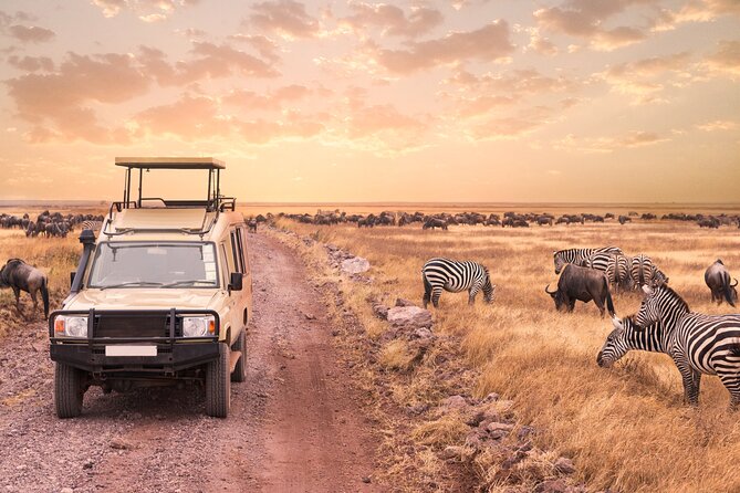 5 days safari, hiking & culture (Serengeti & kilimanjaro) - Ngorongoro Crater viewpoint, then the Maasai village choice