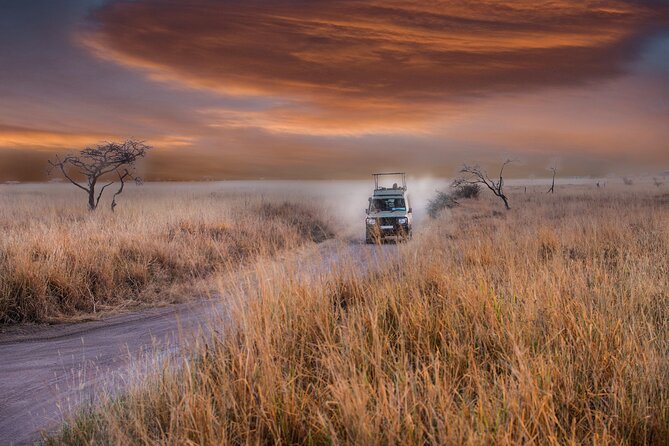 5 days safari, hiking & culture (Serengeti & kilimanjaro) - The guides who get you closer, and keep it safe