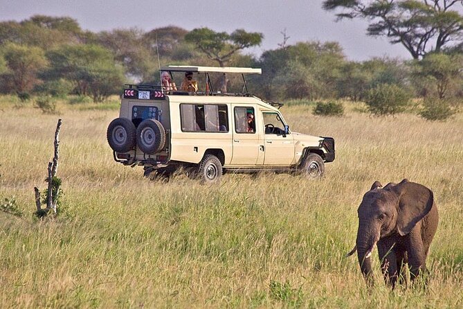 5 Days Safari in Tanzania | Camping and Lodge Safaris - 5 days in northern Tanzania: what this tour delivers