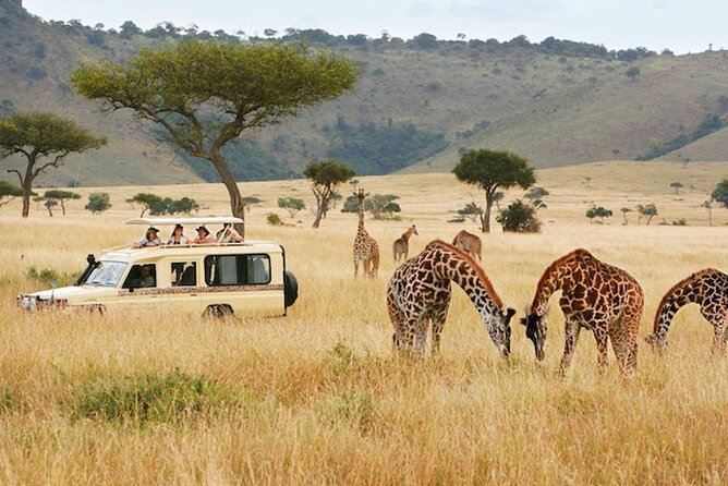 5 Days Safari in Tanzania | Camping and Lodge Safaris - Tarangire National Park: elephants, baobabs, and first sightings