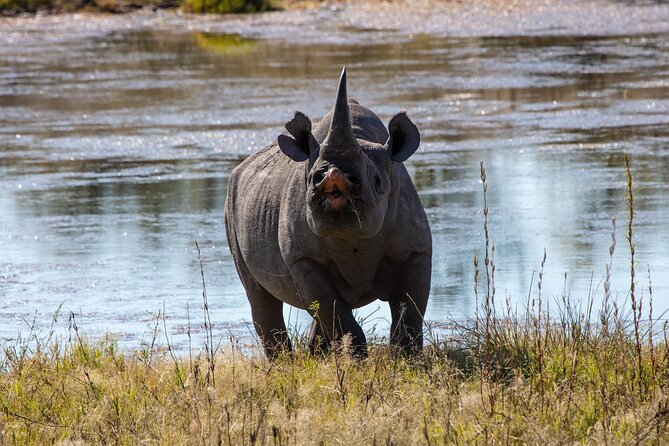 5 Days Safari Northern Circuit of Tanzania - Price and Value: what $2,097 buys on the northern circuit