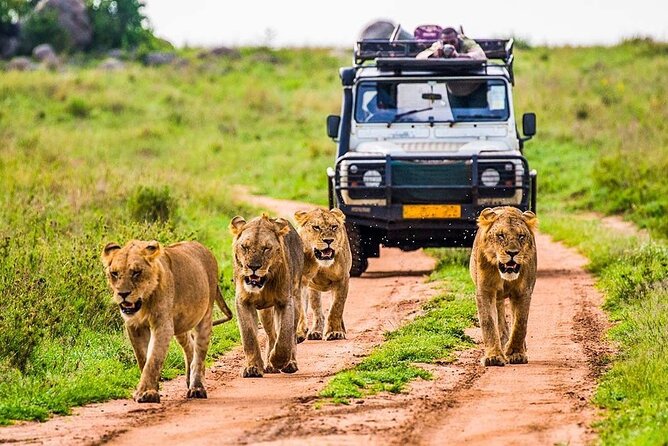 5 Days Safari Tarangire, Serengeti, and Ngorongoro Crater - A 5 day private safari loop that actually makes sense