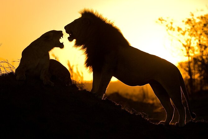 5 Days Safari Tarangire, Serengeti, and Ngorongoro Crater - Why two Ngorongoro days can be better than one