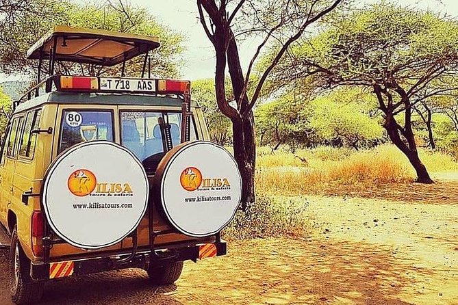 5 days Safari to Lake Manyara, Serengeti and Ngorongoro crater - Day 4 Southern Grass Plains Near Ngorongoro: The Migration Timing Window
