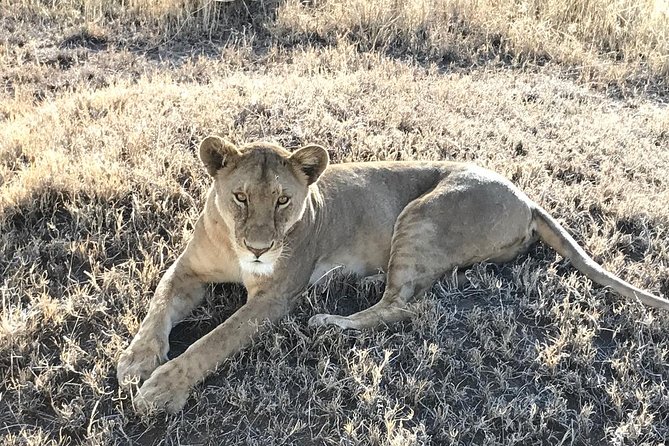 5 days Safari to Lake Manyara, Serengeti and Ngorongoro crater - What’s Included in This Safari Price, and What to Budget for