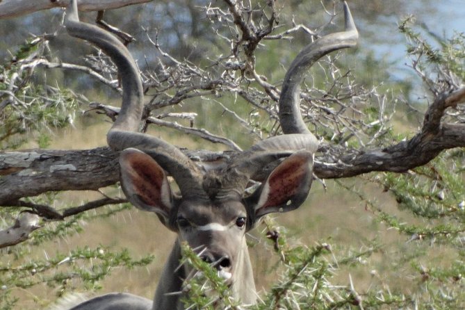 5 Days Safari to Nyerere NP (Selous GR) and Mikumi NP - Key things that make this safari worth your time