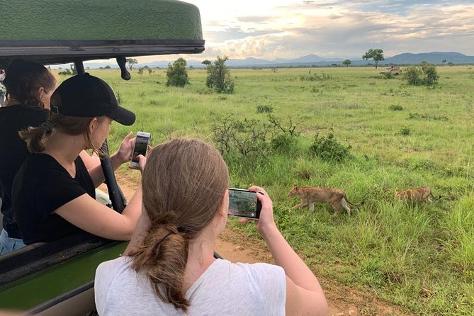 5 Days Safari to Nyerere NP (Selous GR) and Mikumi NP - Afternoon boat safari on the Great Rufiji River