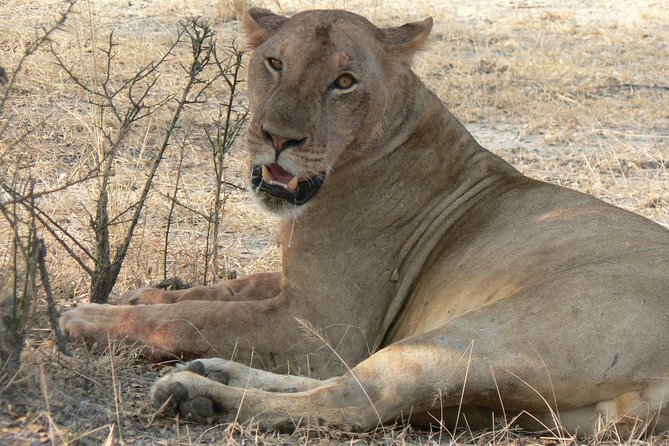 5 Days Safari to Selous & Mikumi - Price and value: what $1,999 includes (and what it does not)