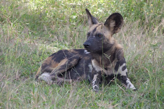5 Days Safari to Selous & Mikumi - Day 2 Selous walking safari plus a long game drive