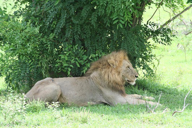 5 Days Safari to Selous & Mikumi - The trip to Mikumi via Morogoro and Uluguru Mountains