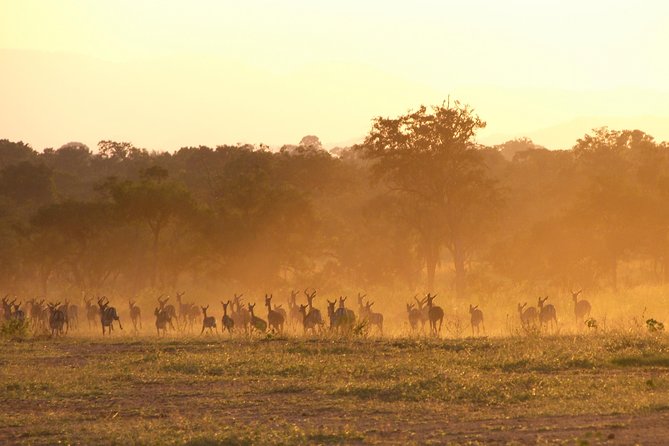 5 Days Safari to Selous & Mikumi - Mikumi flood plain: a full day of game viewing
