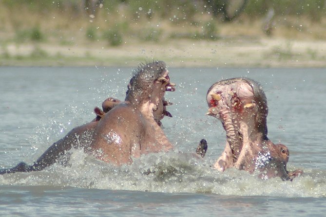 5 Days Safari to Selous & Mikumi - Sunrise viewing and your return drive to Dar