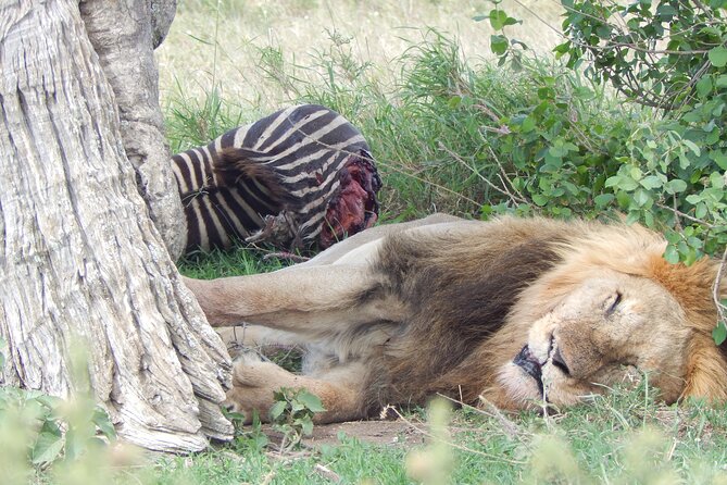 5 Days Safari to Serengeti, Ngorongoro, Tarangire from Arusha - Maasai village interaction: cultural time without turning it into a checklist