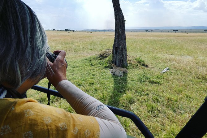 5 Days Safari to Serengeti, Ngorongoro, Tarangire from Arusha - Day 1: Tarangire National Park for elephants and baobabs