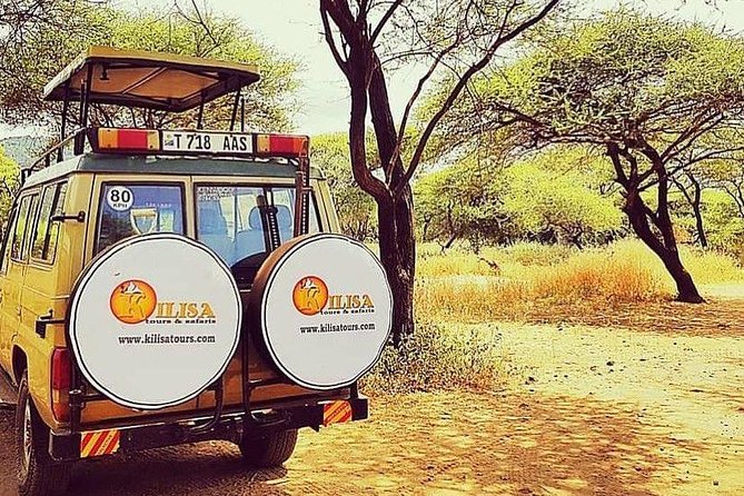 5 days Safari to Tarangire, Ngorongoro, Serengeti and Lake Manyara - Tarangire National Park: River Elephants and the Home-of-Elephants Feeling