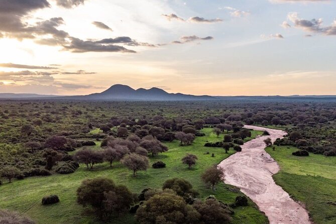 5-Days Selous Game Reserve and Mikumi National Park Tour - Southern Tanzania Safari, Nyerere to Mikumi in 5 Days